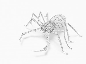 Bug low poly Modèle 3D