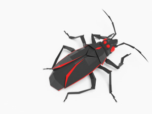 Bug low poly 3D 模型