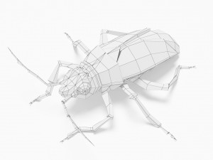 Bug low poly 3D 模型