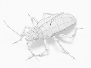 बग लो पॉली 3D मॉडल