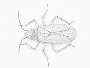 Bug low poly 3D 模型