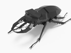 Bug low poly Model 3D