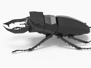 Bug low poly Model 3D