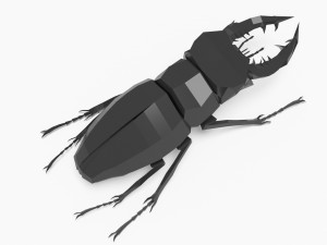 Bug low poly Model 3D