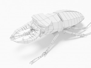 Bug low poly Model 3D