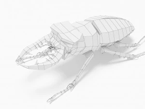 Bug low poly 3D Model