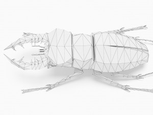 Bug low poly Model 3D