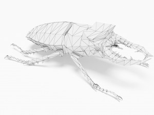 Bug low poly Model 3D