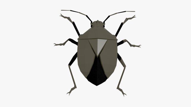 Bug low poly 3D 모델 .c4d .max .obj .3ds .fbx .stl .blend 