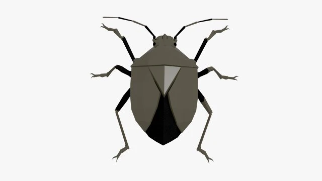 Bug low poly 3D Model .c4d .max .obj .3ds .fbx .stl .blend 