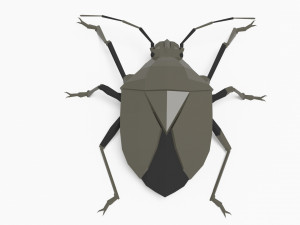 Bug low poly 3D 모델