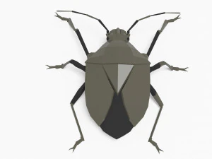 Bug low poly 3D Model