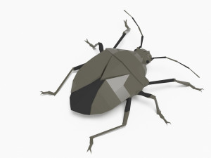 Bug low poly 3D 모델