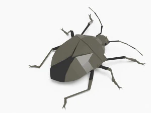 Bug low poly 3D Model