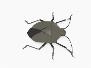 Bug low poly 3D 모델