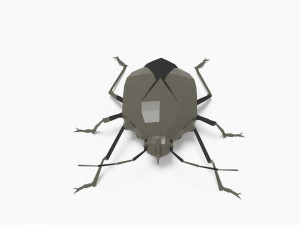 Bug low poly 3D 모델