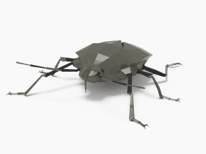 Bug low poly 3D 모델