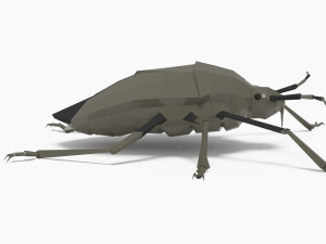 Bug low poly 3D 모델