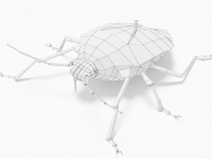Bug low poly 3D 모델