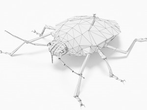 Bug low poly 3D 모델