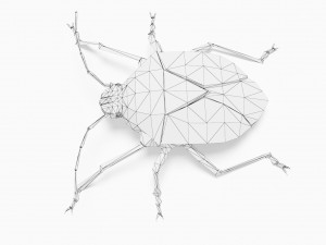 Bug low poly 3D 모델