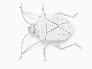 Bug low poly 3D Model