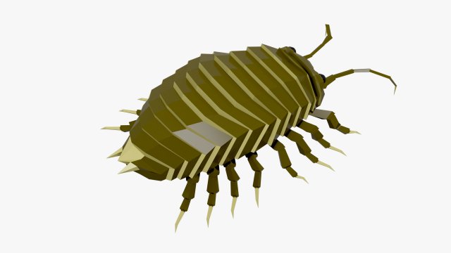 Bug low poly Model 3D .c4d .max .obj .3ds .fbx .stl .blend 