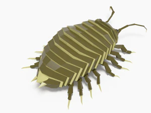 Bug low poly 3D Model