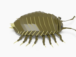 Bug low poly Model 3D