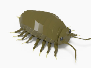 Bug low poly Model 3D