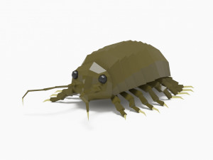 Bug low poly Model 3D
