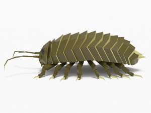 Bug low poly Model 3D
