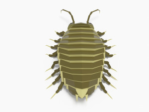 Bug low poly Model 3D