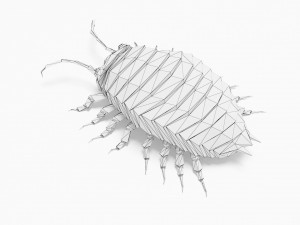 Bug low poly Model 3D