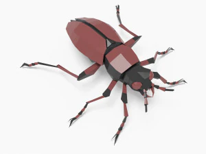 Bug low poly 3D Model
