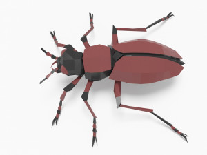 Bug low poly 3D मॉडल