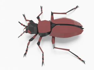 Bug low poly 3D Model