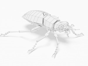 Bug low poly 3D मॉडल