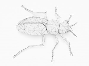 Bug low poly 3D मॉडल