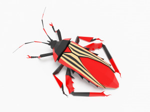Bug low poly 3Dモデル