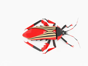 Bug low poly 3D Model