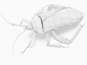 Bug low poly 3D Model