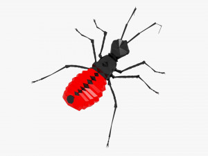 Bug low poly 3D Model