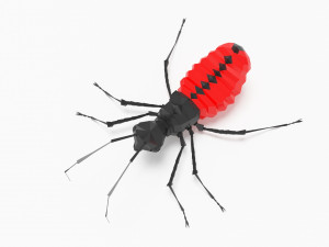 Bug low poly 3Dモデル