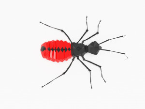 Bug low poly 3Dモデル