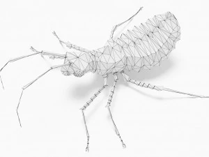 Błąd low-poly Model 3D