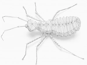 Błąd low-poly Model 3D