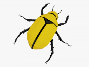 Bug laag poly 3D Model