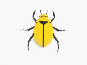 Bug low poly 3D 模型