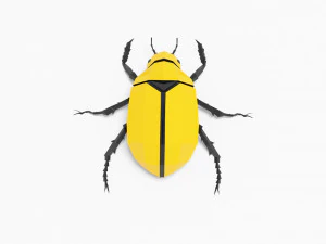 Bug low poly 3D Model